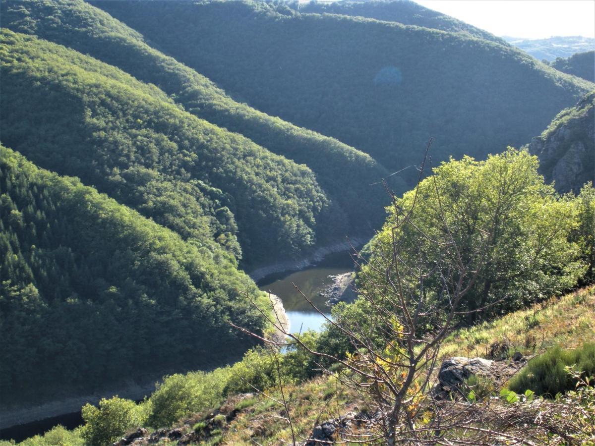 Chalet Nature Sur La Vallee De La Truyere Neuveglise Экстерьер фото