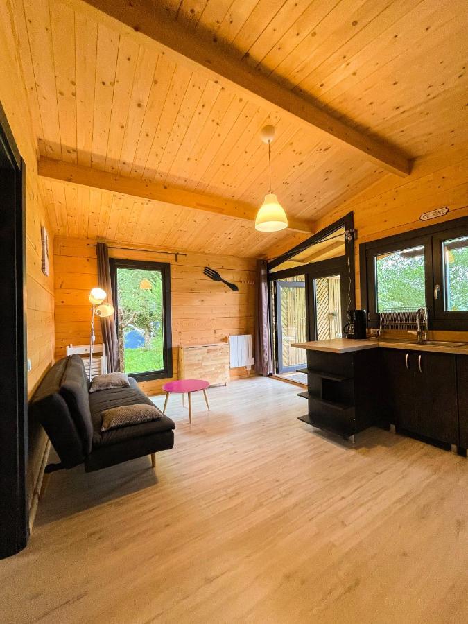 Chalet Nature Sur La Vallee De La Truyere Neuveglise Экстерьер фото